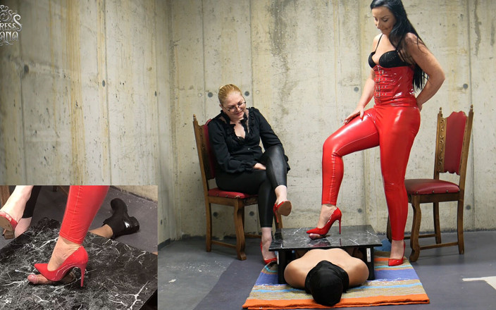 Lady Luciana Di Domizio: The Cockboard