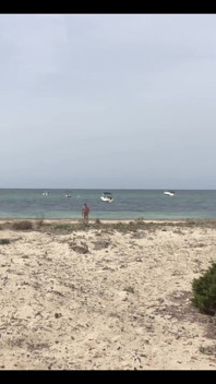 Sunny Day