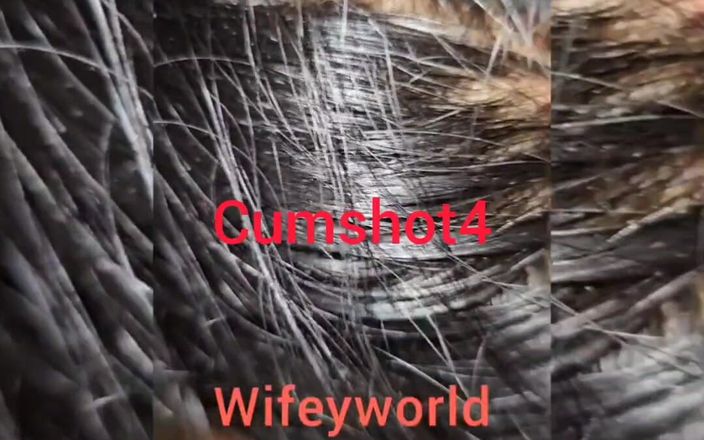 Wifeyworld2025: 5 cewek seksi ini dientot habis-habisan sampai dicrot di dalam