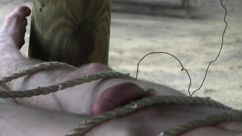 Dream Boy Bondage: Plaagt boomstaan - hoofdstuk 2