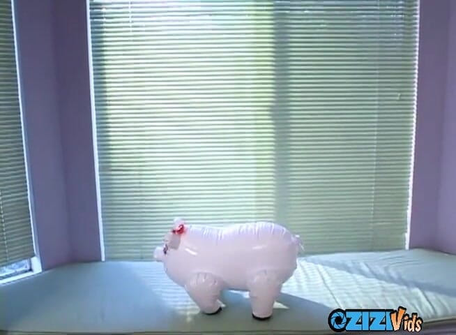 Zizi Vids: Huge cock fucking two pigs