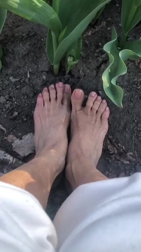 Naelor: Melove cu picioarele ei mici în aer liber în grădină