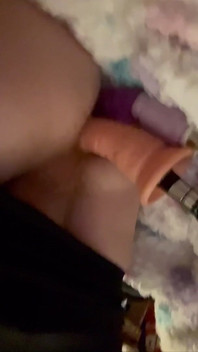 Andiamo ragazzi Chi vuole essere i miei tre?