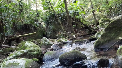 Novinha Insaciavel: Blowjob di air terjun