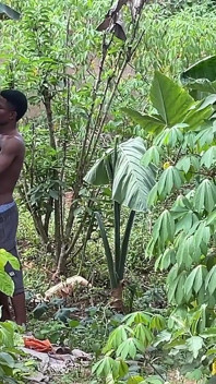 Hãy nhanh chóng để không ai bắt gặp chúng tôi (đằng sau hậu trường)