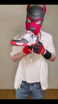 Sniff Dc Ii