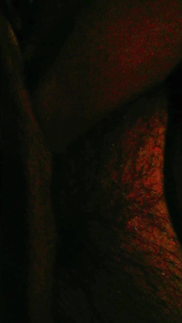 Boyfriend: Prosím, udržujte to v tajnosti