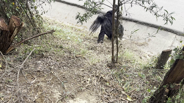Crisanto999: 내 바보 의붓 사촌은 나를 섹스하고 싶어하기 때문에 나를 이런 식으로 볼 수 없습니다.