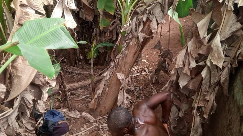 Moviesporn1: Il valentine hanno al guinzaglio e una plantain la maggior...