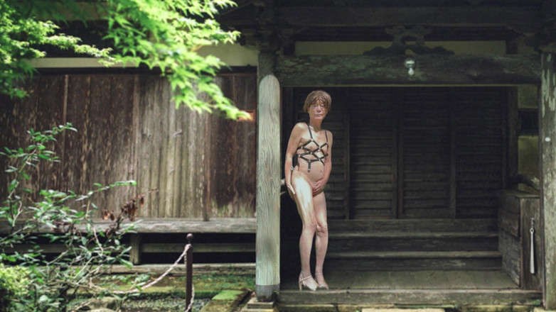 Pai-chan: Japonský starý dům a Pai-chan