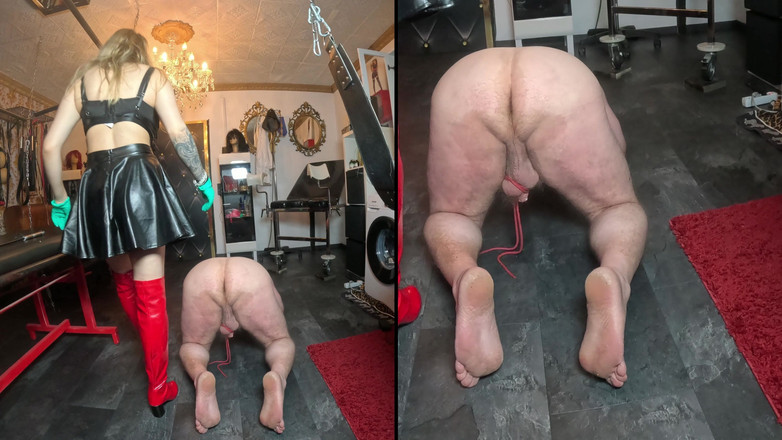Queen_of_BDSM: Vaše varlata musí snášet utrpení kvůli vaší paní!