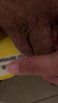 My Penis and Balls Anatomy