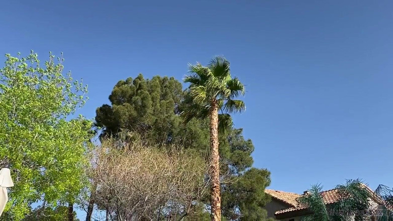 Sinn Sage: Pool Video