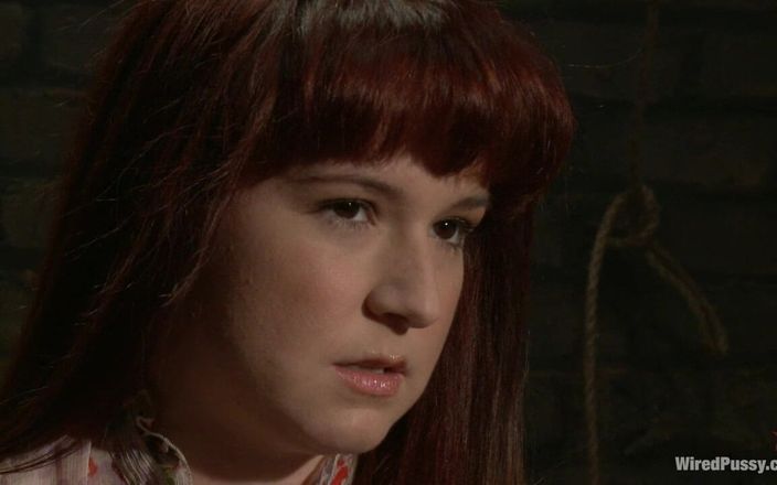 Wired Pussy by Kink: Annabelle Lee