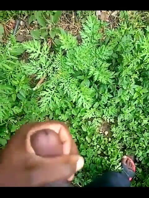 Haydenbbc: Haydenbbc