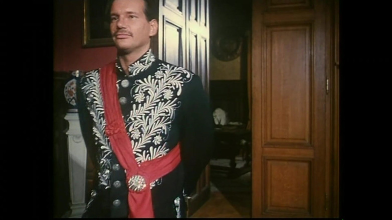 FM Video VOD: 一个快乐的寡妇 #02