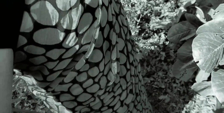 Hemant sarita: Беру меня в лес, она сказала, трахни меня, Раджаджи, я чувствую себя очень