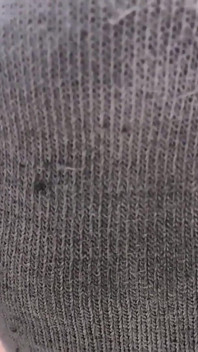 Sucker for Stinky Socks Public Worship