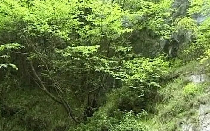 Busty German Sluts: Stunning German Sluts Sharing Cock in the Forest