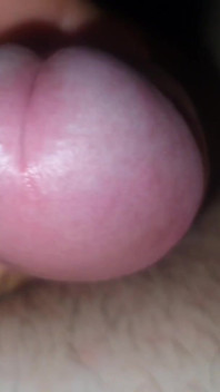 Dick Erection