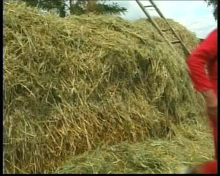 Busty German Sluts: Esta rubia madura de Alemania se la follaron en la...