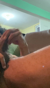 Cazzo duro in cerca di una figa da creampie
