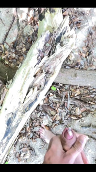 Masturbating in the Forest