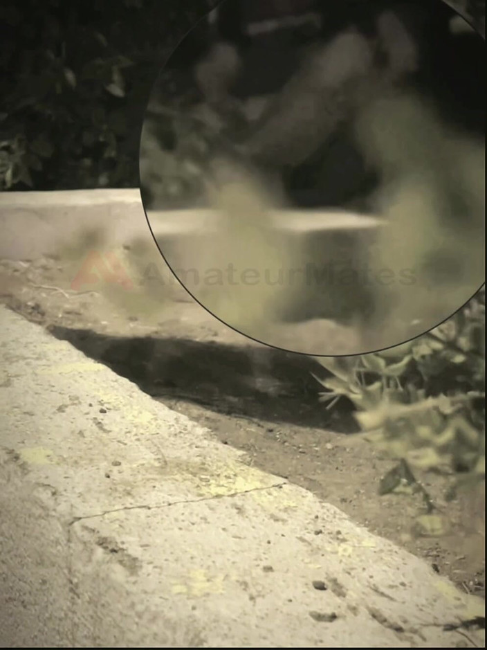 AmateurMates: Ragazzo amatoriale succhia un ragazzo che ha trovato masturbandosi in...