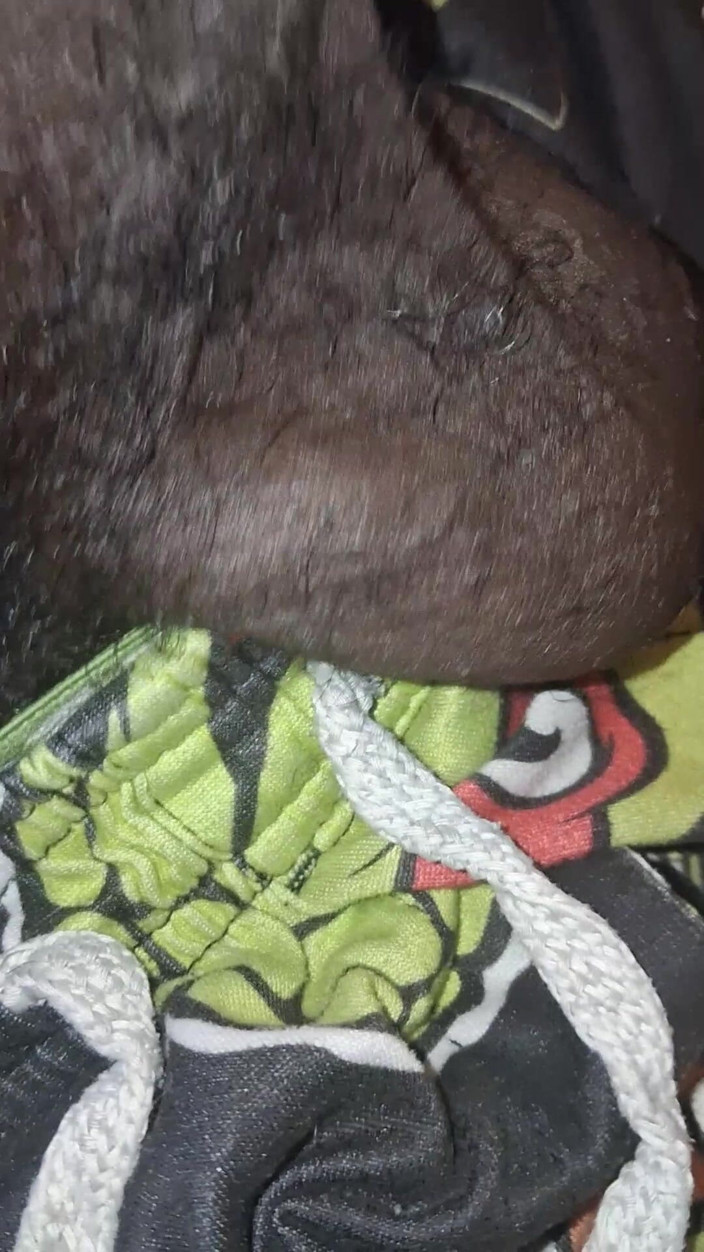 Chocolate Meat Stick: Up Close &amp; Personal Huge Balls Massive Black Uncut Dick