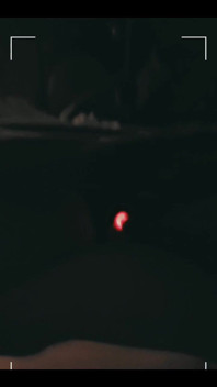 3795062077.mp4