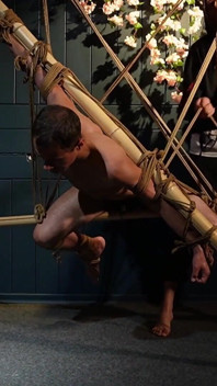Bellissimo Zeus legato con corde di juta Shibari Eleganza in posizione impotente Tensione