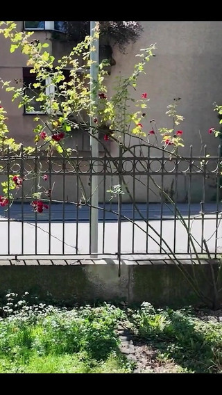 Thumbnail of That Was the Perfect Spot to Pee