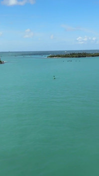 Tàu du lịch