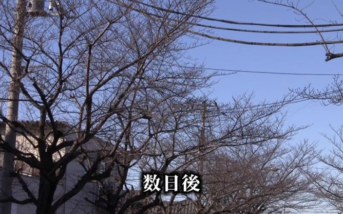 Raptor Inc: Natsuko kayama - परिपक्व महिला क्लब, एक्सक्लूसिव सदस्यता