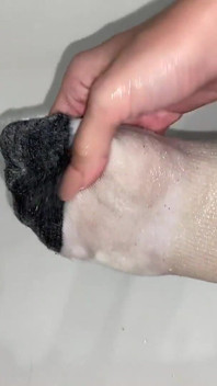Masaje de aceite de pies en calcetines