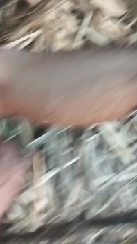 Moje sexy žena a já ve špíně v cukrové třtině pole Desi video