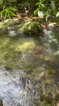 Mi tímida hermanastra me ayuda a encontrar madera y terminamos follando muy duro en el río