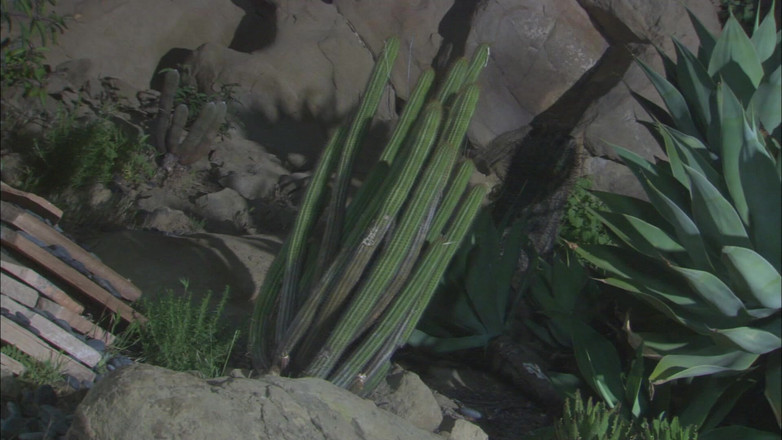 Hand Lotion Studios: Чернокожая подруга посетила мексиканского бойфренда и трахнулась на улице