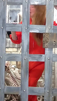 Sucking off the Prison Guard