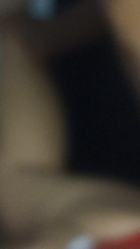 Saison 4 - ours coquin en POV 13