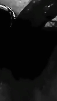 Jack Mój Kutas