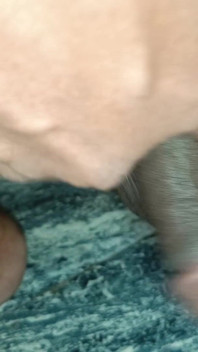 Můj velký boo hit