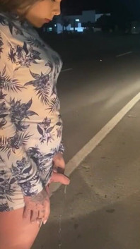 在高速公路上撒尿