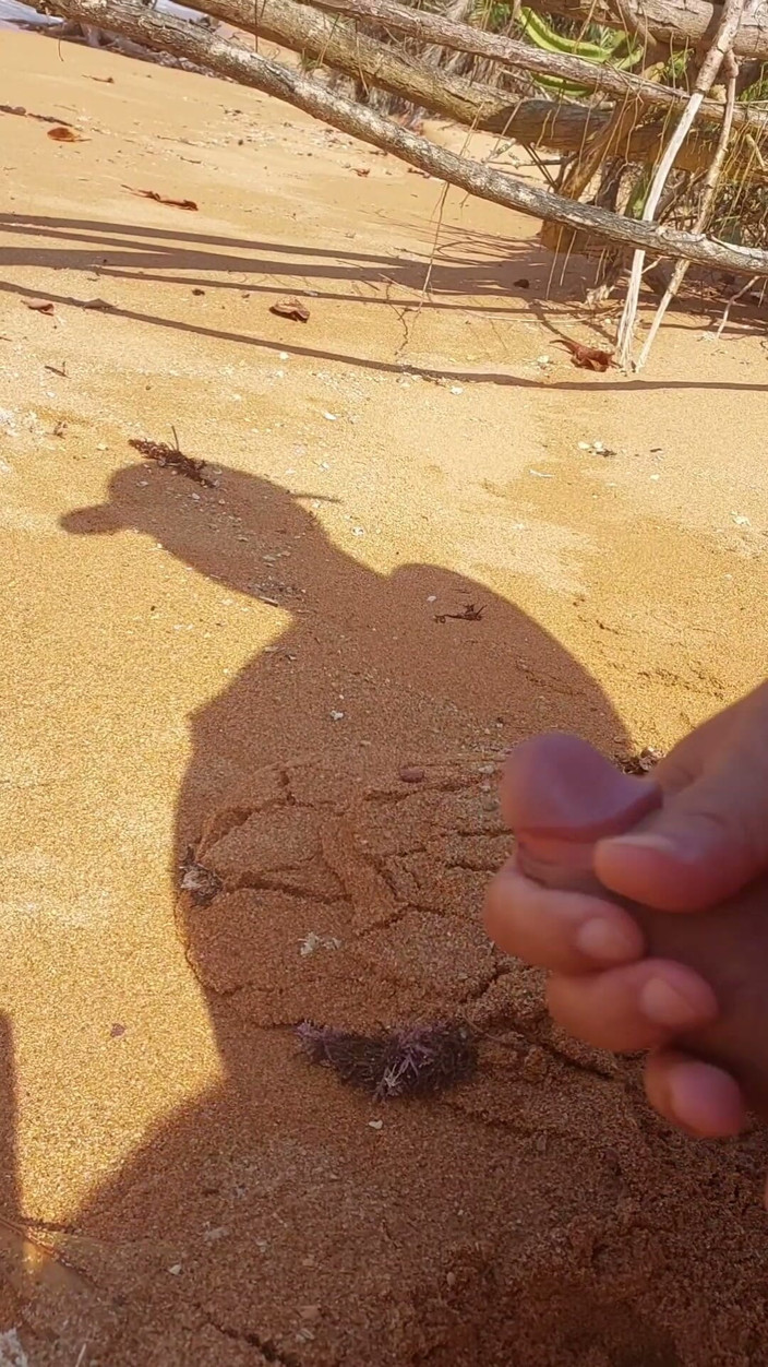Ladysilvas: Ladysilva Masturbating His Cock on a Deserted Beach Until He...