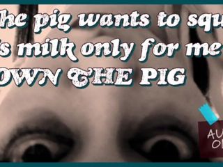 Camp Sissy Boi: Świnia chce tryskać mlekiem tylko dla mnie