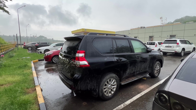Darcy Dark: Follada tan duro que las ventanas del coche se empañaron