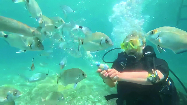 JessieHH: Potápění v Turkiye! Bezplatně