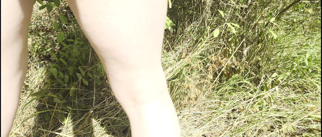 Mesmeriza: Passeggiata nella foresta di mesmeriza