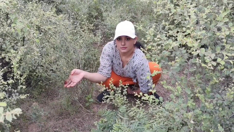 Khushboobhabi: La chica vino a dar un paseo, un niño besó...