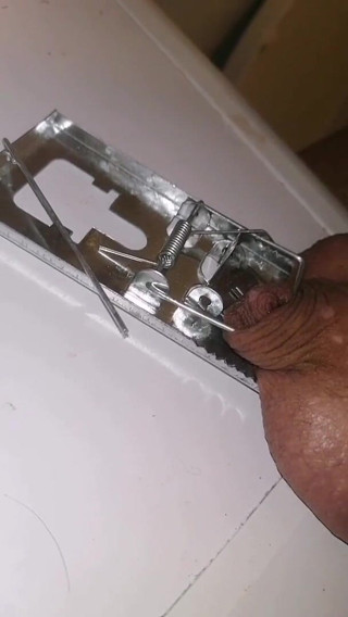 Adashah: Mučení mikropenis past na myši BDSM cbt sph